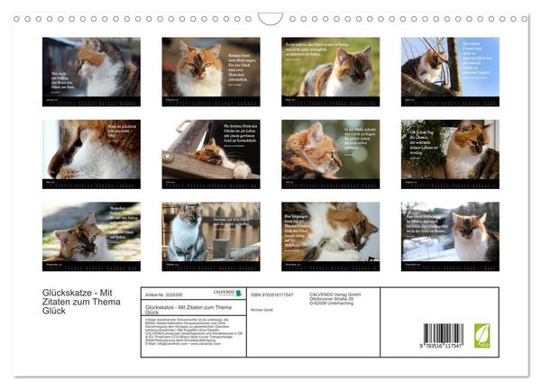 Produktbild: Gl&uuml;ckskatze - Mit Zitaten zum Thema Gl&uuml;ck (Wandkalender 2026 DIN A3 quer), CALVENDO Monatskalender