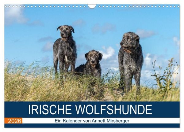 Produktbild: Irische Wolfshunde (Wandkalender 2026 DIN A3 quer), CALVENDO Monatskalender