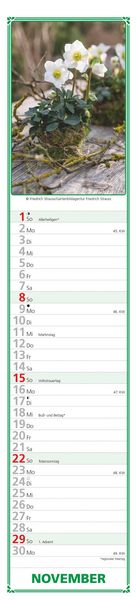 Produktbild: Paules Gartenplaner 2026 - Streifenplaner - Wandplaner - Küchen-Kalender - 11,3x49,5