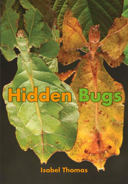 Produktbild: Hidden Bugs