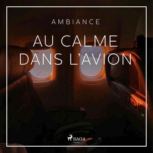Au calme dans l'avion - Rasmus Broe, Audio, 9788727324388