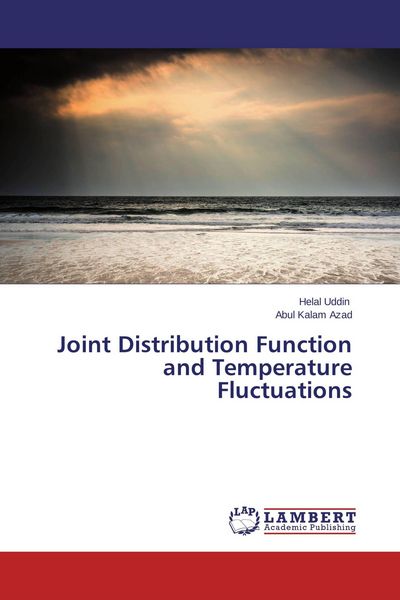 Produktbild: Joint Distribution Function and Temperature Fluctuations