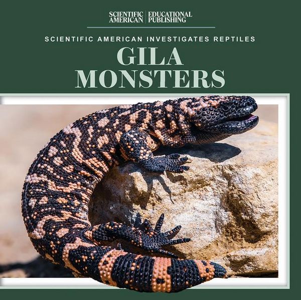 Produktbild: Gila Monsters