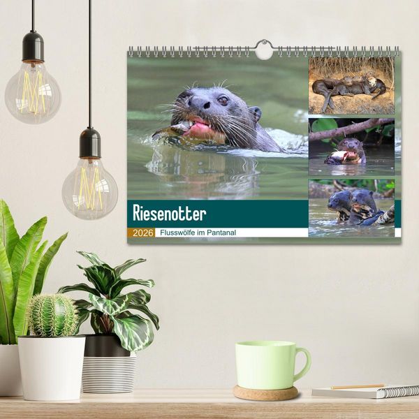 Produktbild: Riesenotter - Flussw&ouml;lfe im Pantanal (Wandkalender 2026 DIN A4 quer), CALVENDO Monatskalender