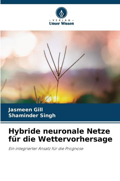 Produktbild: Hybride neuronale Netze f&uuml;r die Wettervorhersage