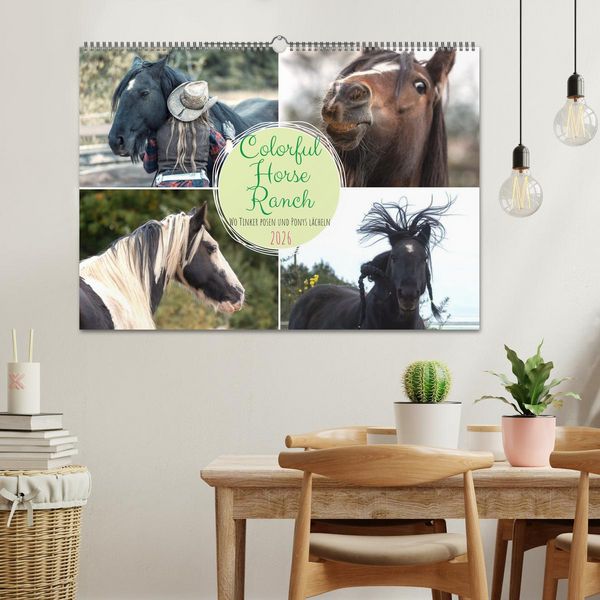 Produktbild: Colorful Horse Ranch &ndash; Wo Tinker posen und Ponys l&auml;cheln (Wandkalender 2026 DIN A2 quer), CALVENDO Monatskalender