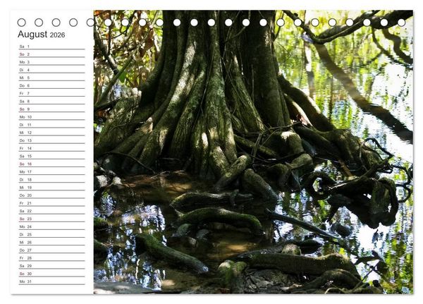 Produktbild: Costa Rica - Natur Pur (Tischkalender 2026 DIN A5 quer), CALVENDO Monatskalender