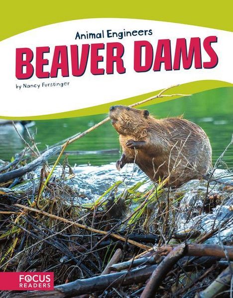 Produktbild: Beaver Dams