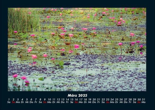 Produktbild: Rosen-Kalender 2025 Fotokalender DIN A4