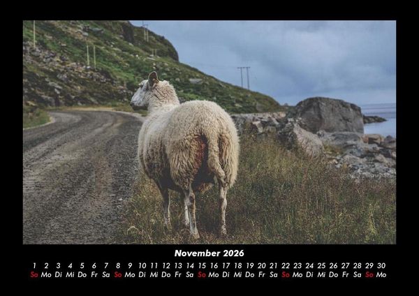 Produktbild: Der Tierkalender 2026 Fotokalender DIN A3