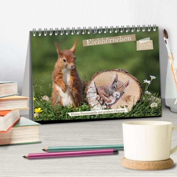 Produktbild: Eichh&ouml;rnchen - Kleine Fotomodelle mit gro&szlig;em Charme (Tischkalender 2027 DIN A5 quer), CALVENDO Monatskalender
