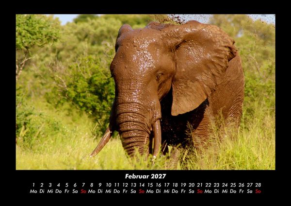 Produktbild: Der Elefantenkalender 2027 Fotokalender DIN A3