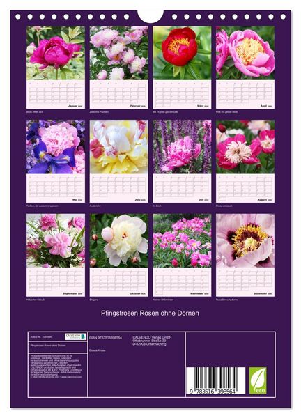 Produktbild: Pfingstrosen Rosen ohne Dornen (Wandkalender 2026 DIN A4 hoch), CALVENDO Monatskalender