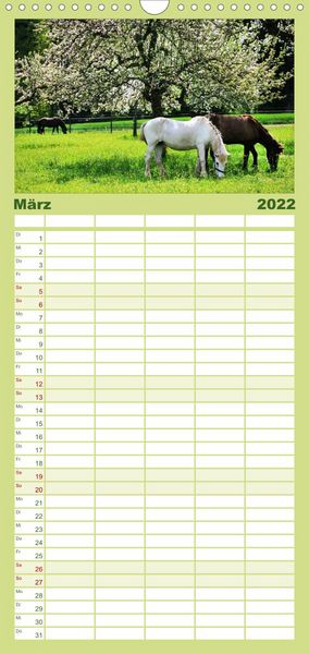 Produktbild: Familienplaner Faszination Pferde (Wandkalender 2022 , 21 cm x 45 cm, hoch)