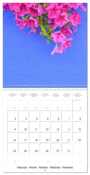 Produktbild: Leaves and flowers of Burano (Wall Calendar 2026 12 &times; 12 Inch) CALVENDO 12 Month Wall Calendar