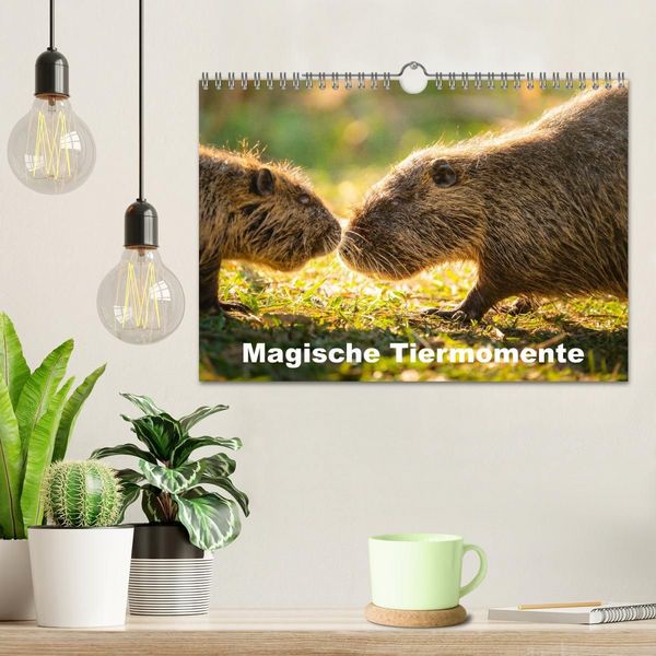 Produktbild: Magische Tiermomente (Wandkalender 2027 DIN A4 quer), CALVENDO Monatskalender
