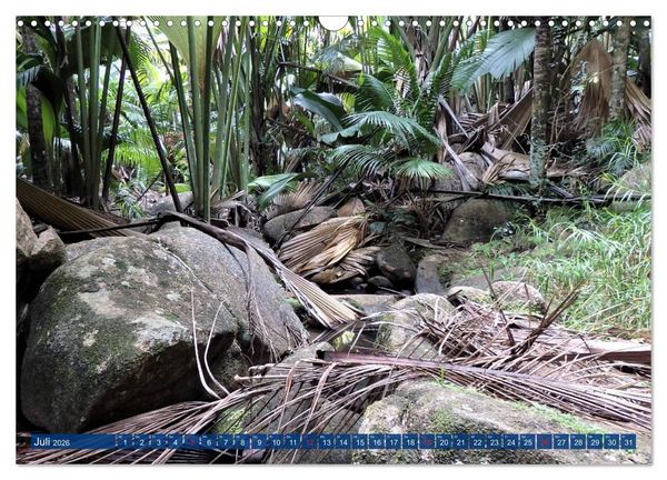 Produktbild: Seychellen - Wild und Sch&ouml;n (Wandkalender 2026 DIN A3 quer), CALVENDO Monatskalender