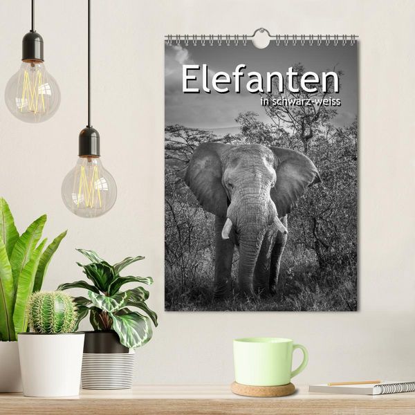 Produktbild: Elefanten in schwarz-weiss (Wandkalender 2026 DIN A4 hoch), CALVENDO Monatskalender