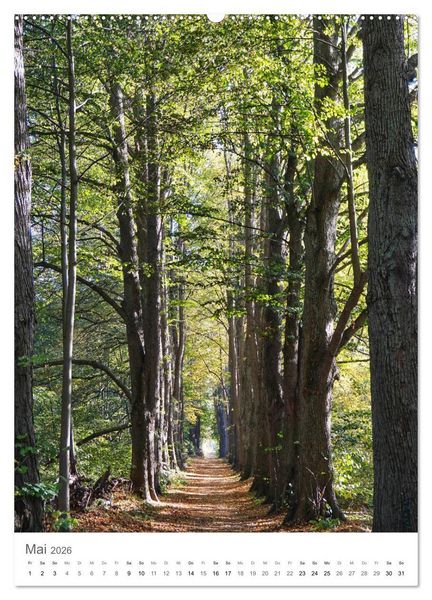 Produktbild: Wald - bezaubernde Landschaften (Wandkalender 2026 DIN A2 hoch), CALVENDO Monatskalender