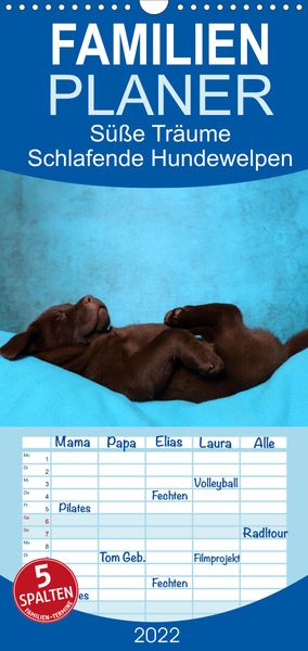 Produktbild: Familienplaner S&uuml;&szlig;e Tr&auml;ume 2022 - schlafende Hundewelpen (Wandkalender 2022 , 21 cm x 45 cm, hoch)
