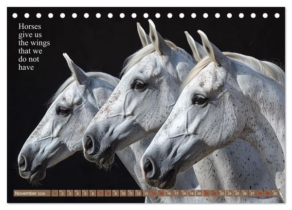 Produktbild: A Horse Makes You Complete (Desk Calendar 2026 DIN A5 landscape), CALVENDO 12 Month DeskCalendar