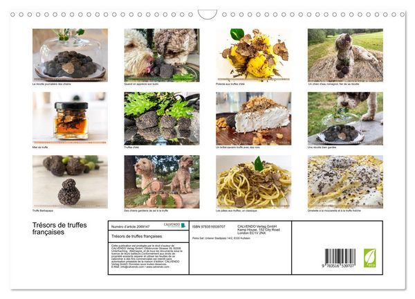 Produktbild: Tr&eacute;sors de truffes fran&ccedil;aises (Calendrier mural 2026 DIN A3 vertical), CALVENDO calendrier mensuel