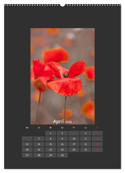 Produktbild: Mohn (Wandkalender 2026 DIN A2 hoch), CALVENDO Monatskalender