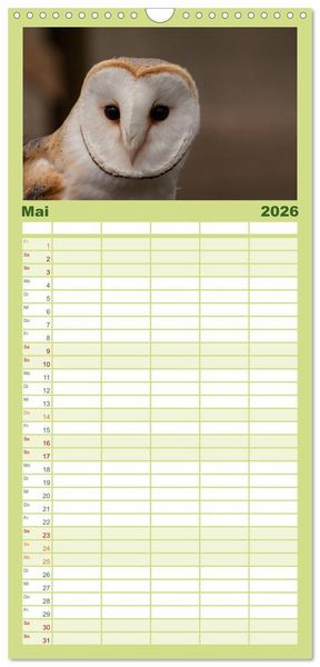 Produktbild: Familienplaner 2026 - Eulen. W&auml;chter der Nacht mit 5 Spalten (Wandkalender, 21 x 45 cm) CALVENDO