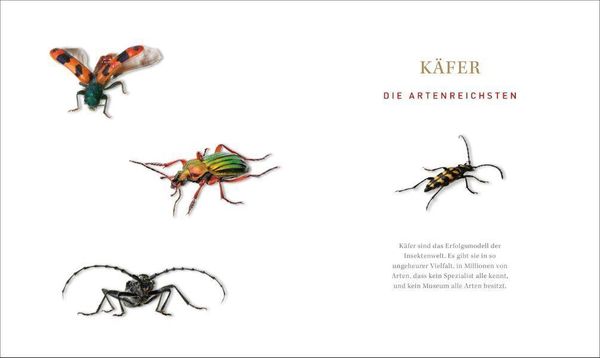 Produktbild: Unsere einzigartige Insektenwelt