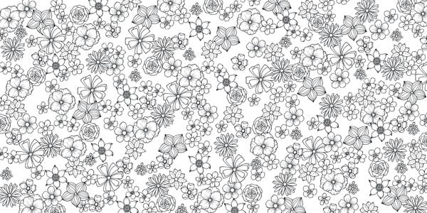 Produktbild: Bl&uuml;tentraum &ndash; Florale Motive ausmalen