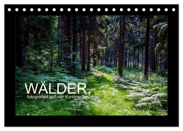 Produktbild: W&auml;lder, fotografiert auf vier Kontinenten (Tischkalender 2026 DIN A5 quer), CALVENDO Monatskalender