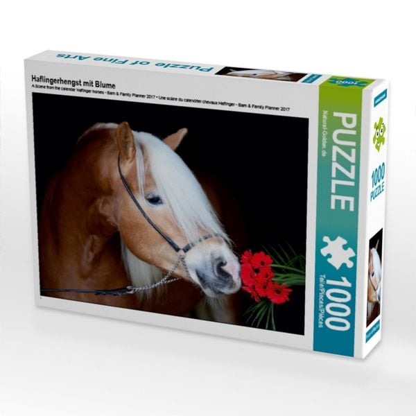 Produktbild: CALVENDO Puzzle Haflingerhengst mit Blume | 1000 Teile Lege-Gr&ouml;&szlig;e 64x48cm Foto-Puzzle f&uuml;r gl&uuml;ckliche Stunden