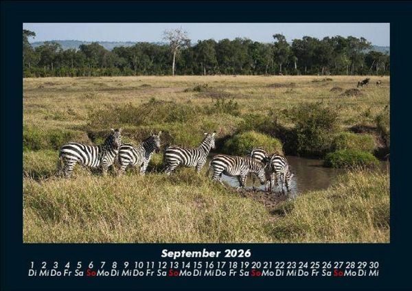 Produktbild: Zebrazauber 2026 Fotokalender DIN A5