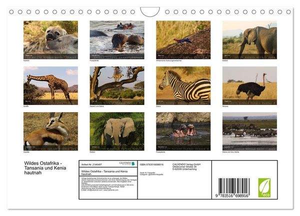 Produktbild: Wildes Ostafrika - Tansania und Kenia hautnah (Wandkalender 2026 DIN A4 quer), CALVENDO Monatskalender