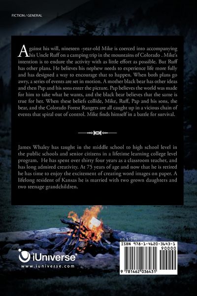 Produktbild: Vision Quest; A Time to Live
