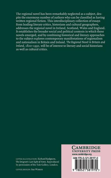 Produktbild: The Regional Novel in Britain and Ireland