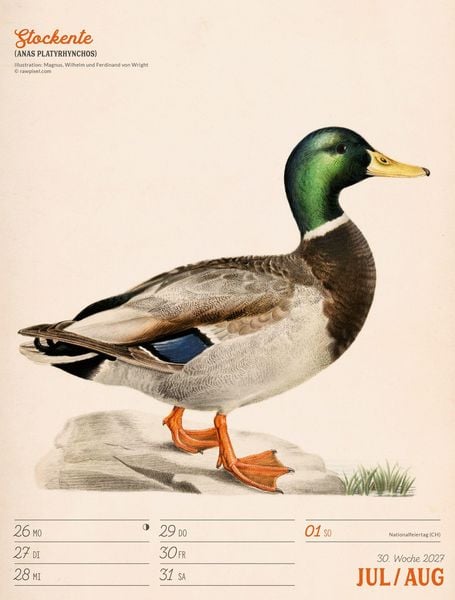 Produktbild: Wunderbare Vogelwelt Wochenplaner Kalender 2027