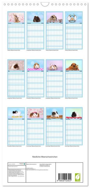 Produktbild: Familienplaner 2026 - Niedliche Meerschweinchen mit 5 Spalten (Wandkalender, 21 x 45 cm) CALVENDO