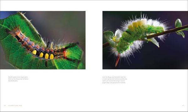 Produktbild: Unsere einzigartige Insektenwelt