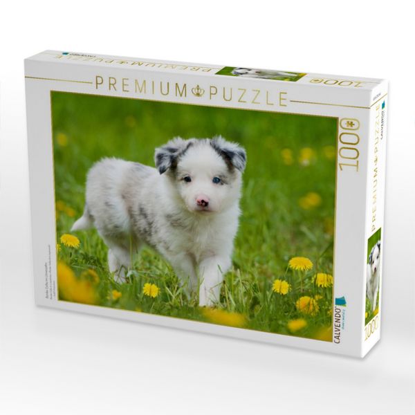 Produktbild: CALVENDO Puzzle Border Collie im L&ouml;wenzahn | 1000 Teile Lege-Gr&ouml;&szlig;e 64x48cm Foto-Puzzle f&uuml;r gl&uuml;ckliche Stunden