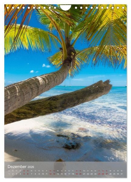 Produktbild: Karibischer Traum Isla Saona (Wandkalender 2026 DIN A4 hoch), CALVENDO Monatskalender