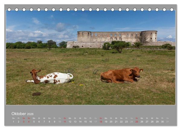 Produktbild: &Ouml;LAND - Besuch im etwas anderen Schweden 2026 (Tischkalender 2026 DIN A5 quer), CALVENDO Monatskalender