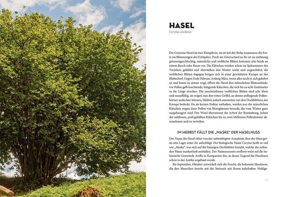 Produktbild: B&auml;ume