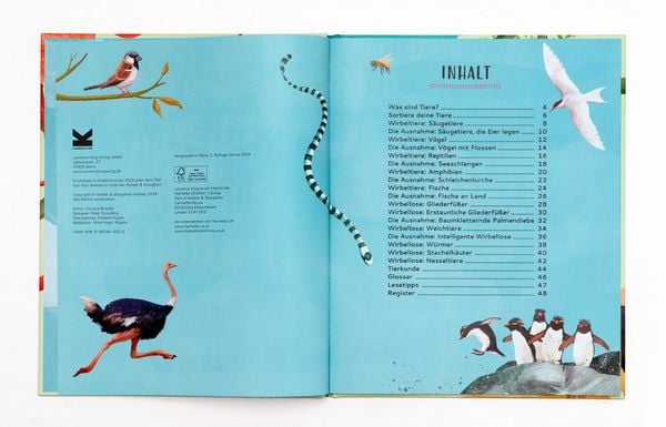 Produktbild: Sortiere deine Tiere