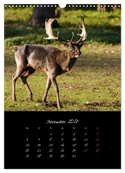 Produktbild: Tiere (Wandkalender 2027 DIN A3 hoch), CALVENDO Monatskalender