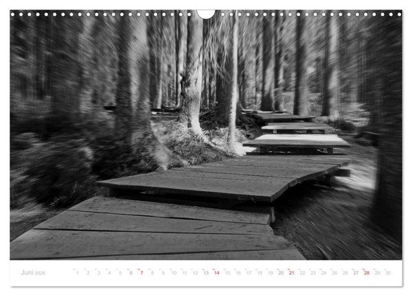 Produktbild: Mystischer Schwarzwald (Wandkalender 2026 DIN A3 quer), CALVENDO Monatskalender