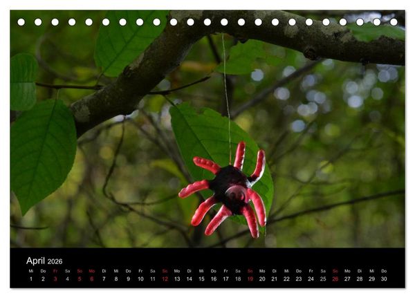 Produktbild: Die Welt der Fruchtgummis (Tischkalender 2026 DIN A5 quer), CALVENDO Monatskalender