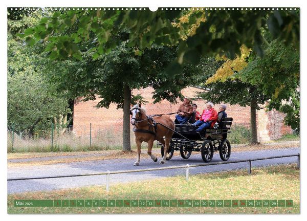 Produktbild: Brandenburg - Sch&ouml;ne Ausflugsziele n&ouml;rdlich von Berlin (Wandkalender 2026 DIN A2 quer), CALVENDO Monatskalender
