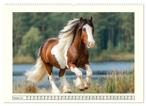 Produktbild: Irlands Pferde. Irish Tinker zwischen Weiden, Wasser und Wald (Wandkalender 2027 DIN A2 quer), CALVENDO Monatskalender