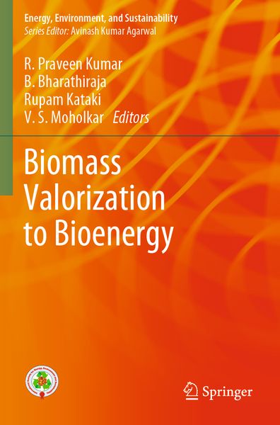 Produktbild: Biomass Valorization to Bioenergy